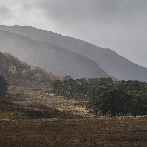 Leagag Autumn