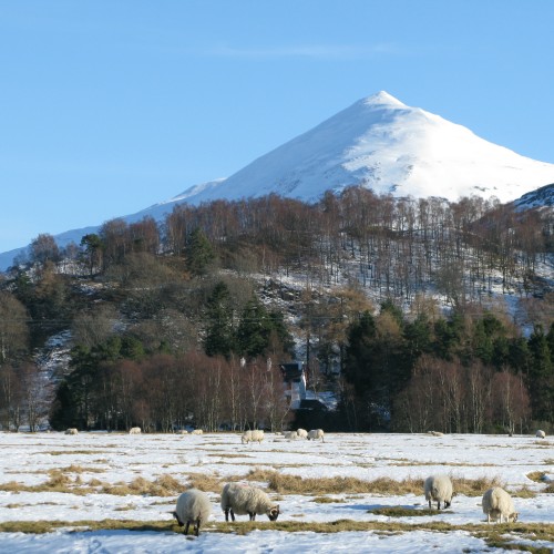 Schiehallion in Winter