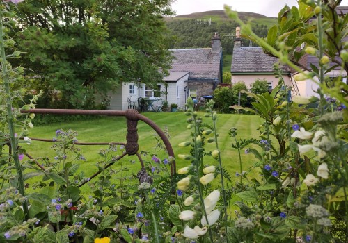 Cnoc Eoghainn  The Garden