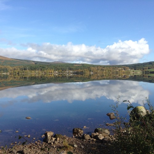 Island of the Gulls, Loch Rannoch