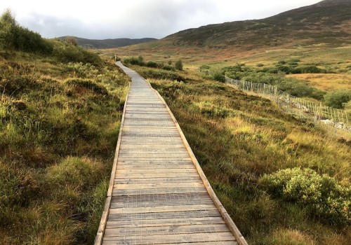 Easy Access Walk Schiehallion - Boardwalk