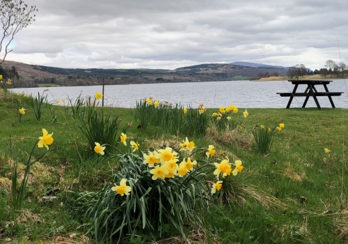 Rannoch Lodge Holiday Cottages, View